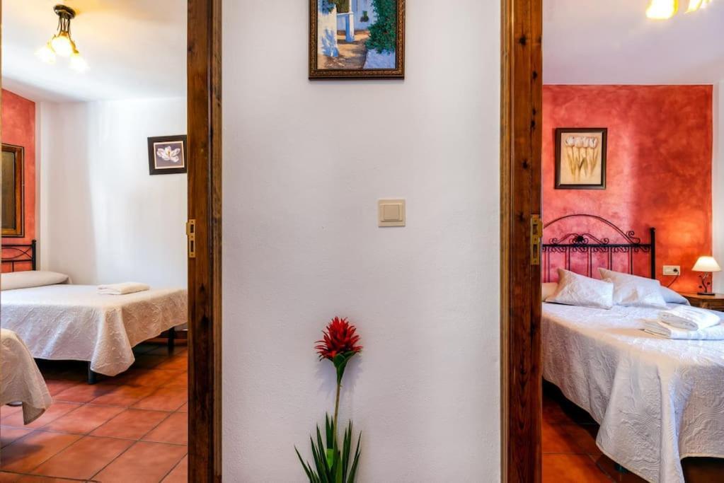 Casa Jose - Alpujarra Apartment *
